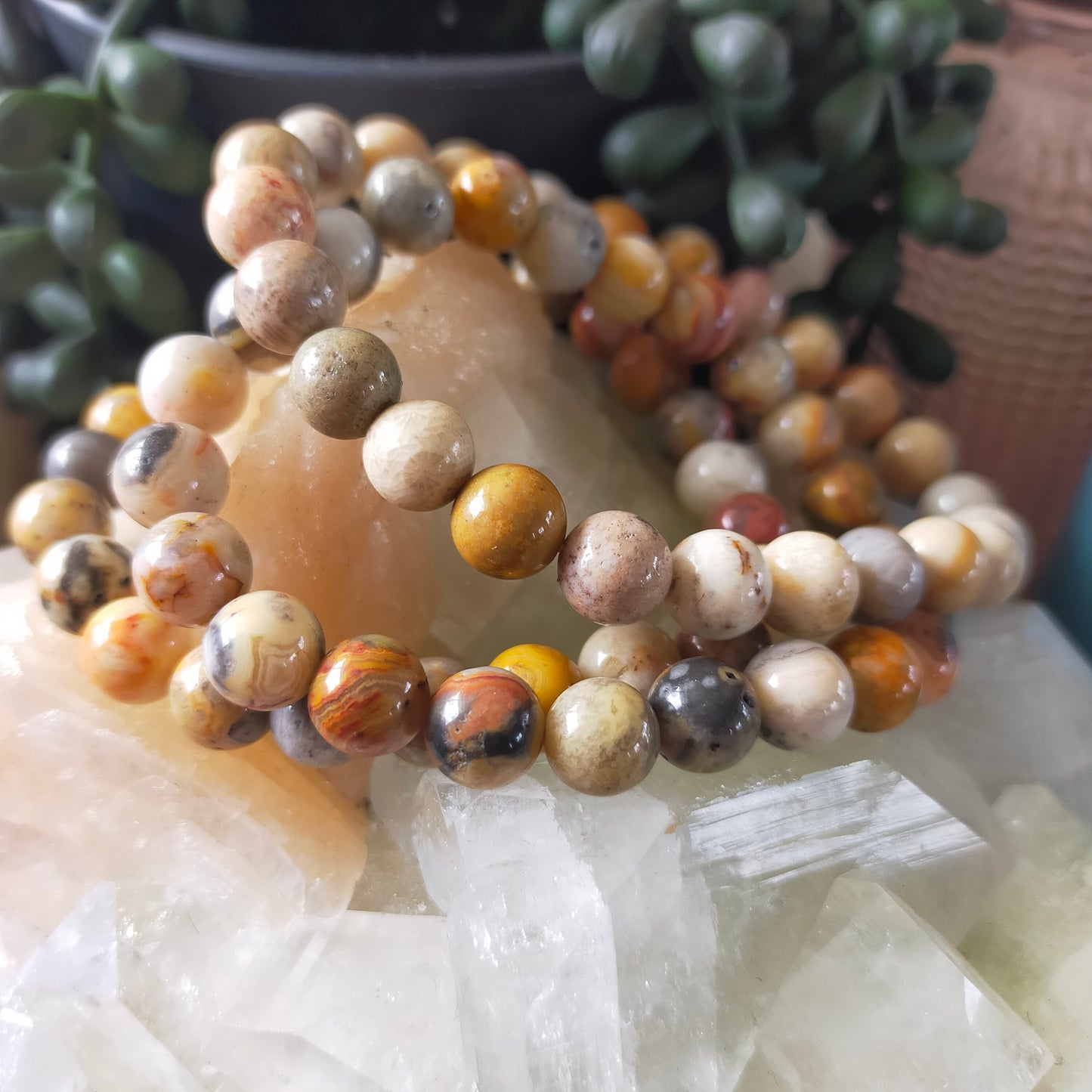 Crazy Lace Agate Bracelet