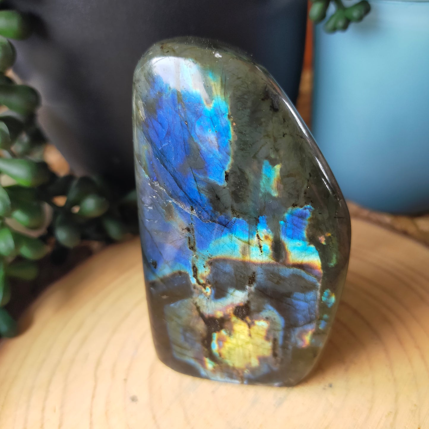 Labradorite Freeform