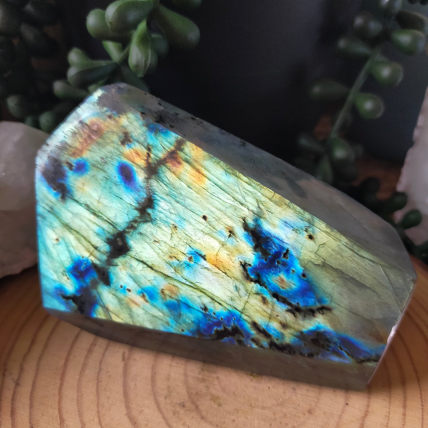 Labradorite Freeform