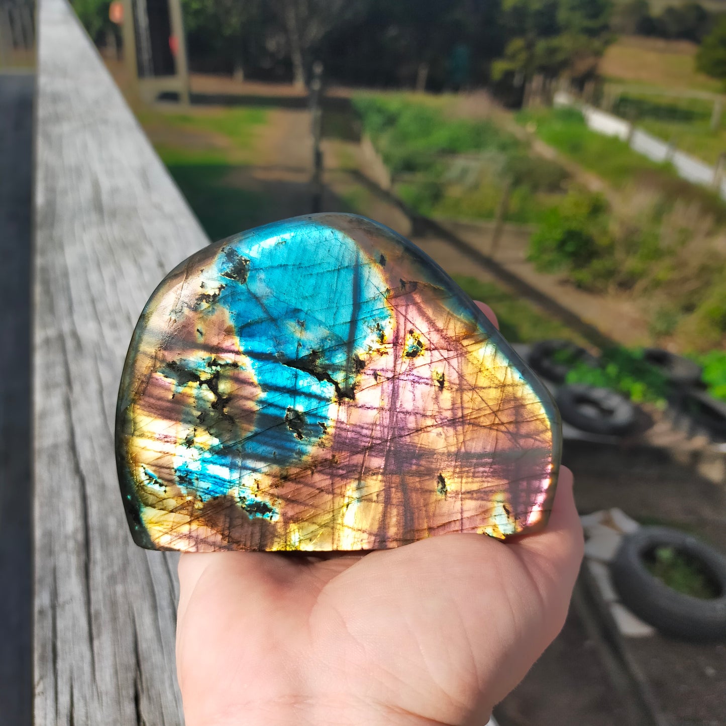 Labradorite Freeform