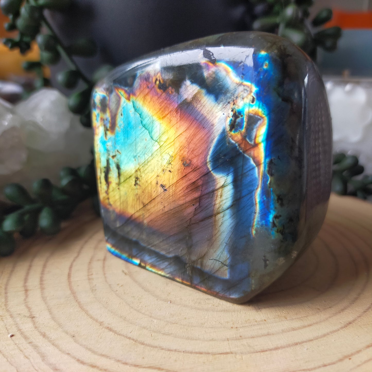 Rainbow Labradorite Freeform