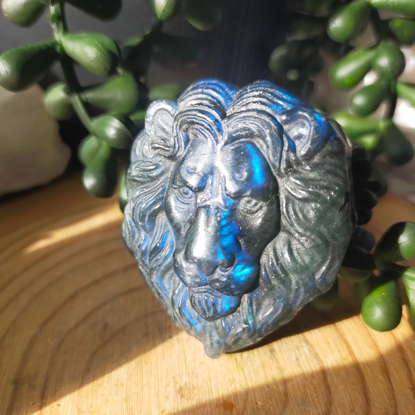 Labradorite Lion