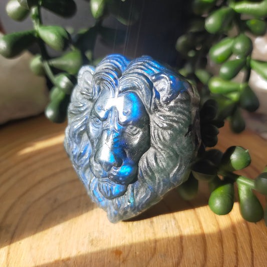 Labradorite Lion