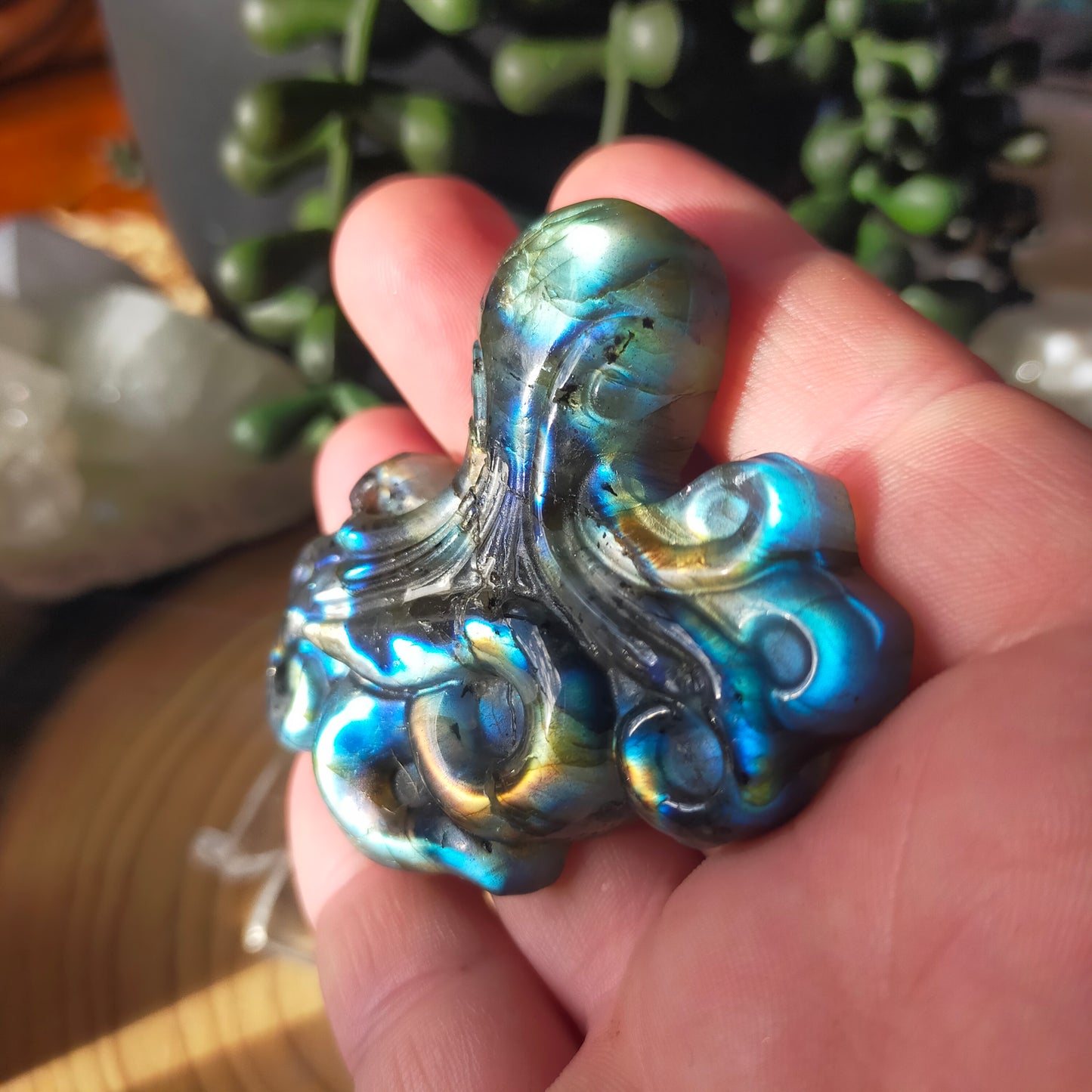 Labradorite Octopus