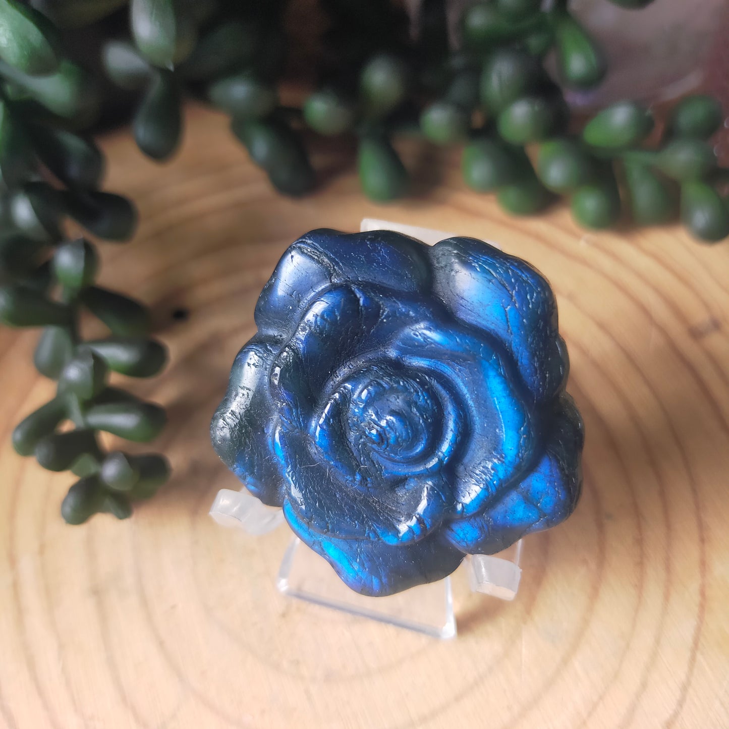 Labradorite Rose