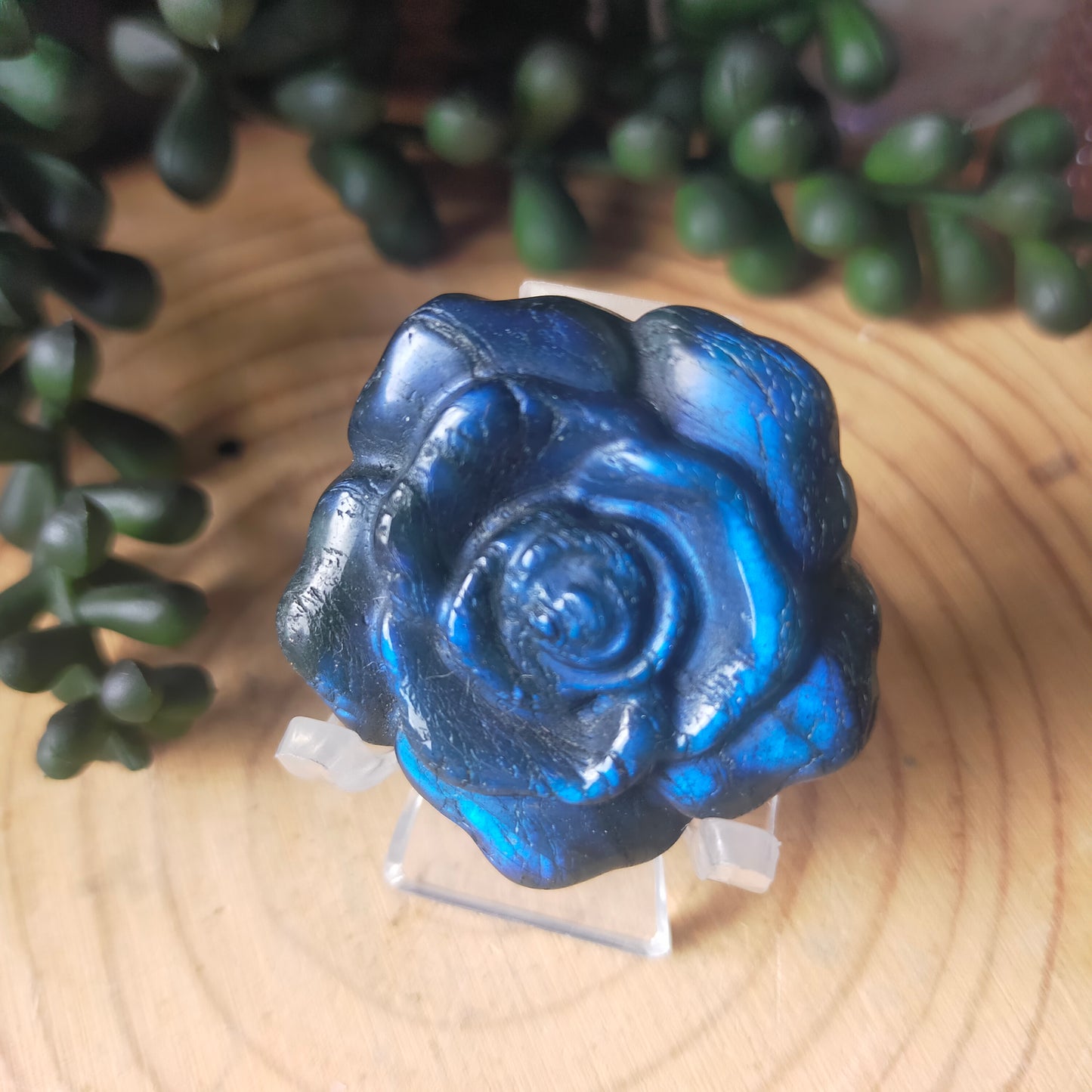 Labradorite Rose