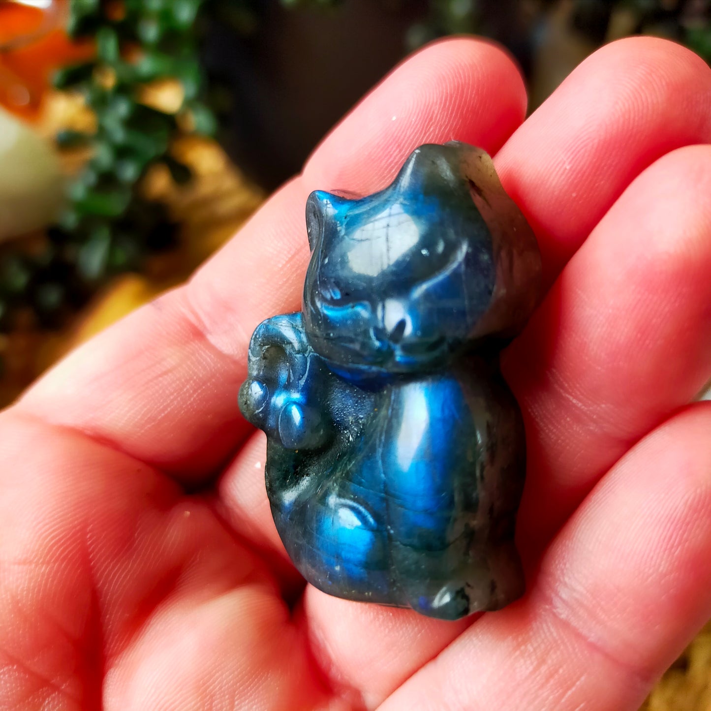 Labradorite Kitty