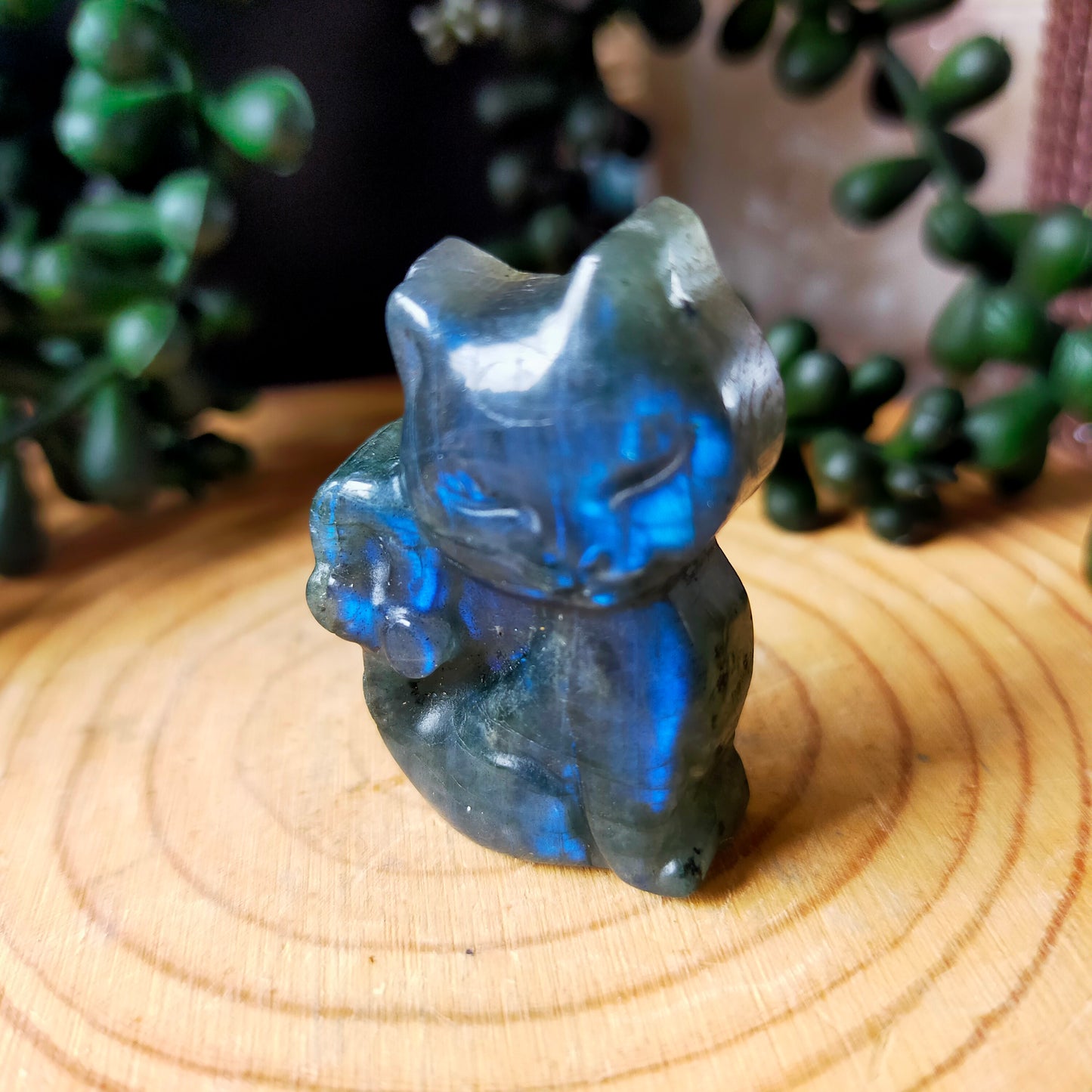 Labradorite Kitty