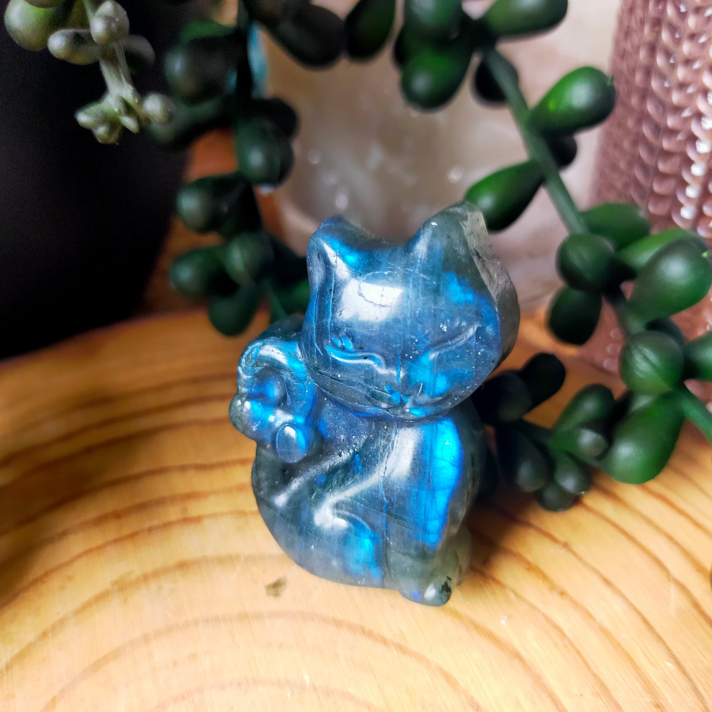 Labradorite Kitty