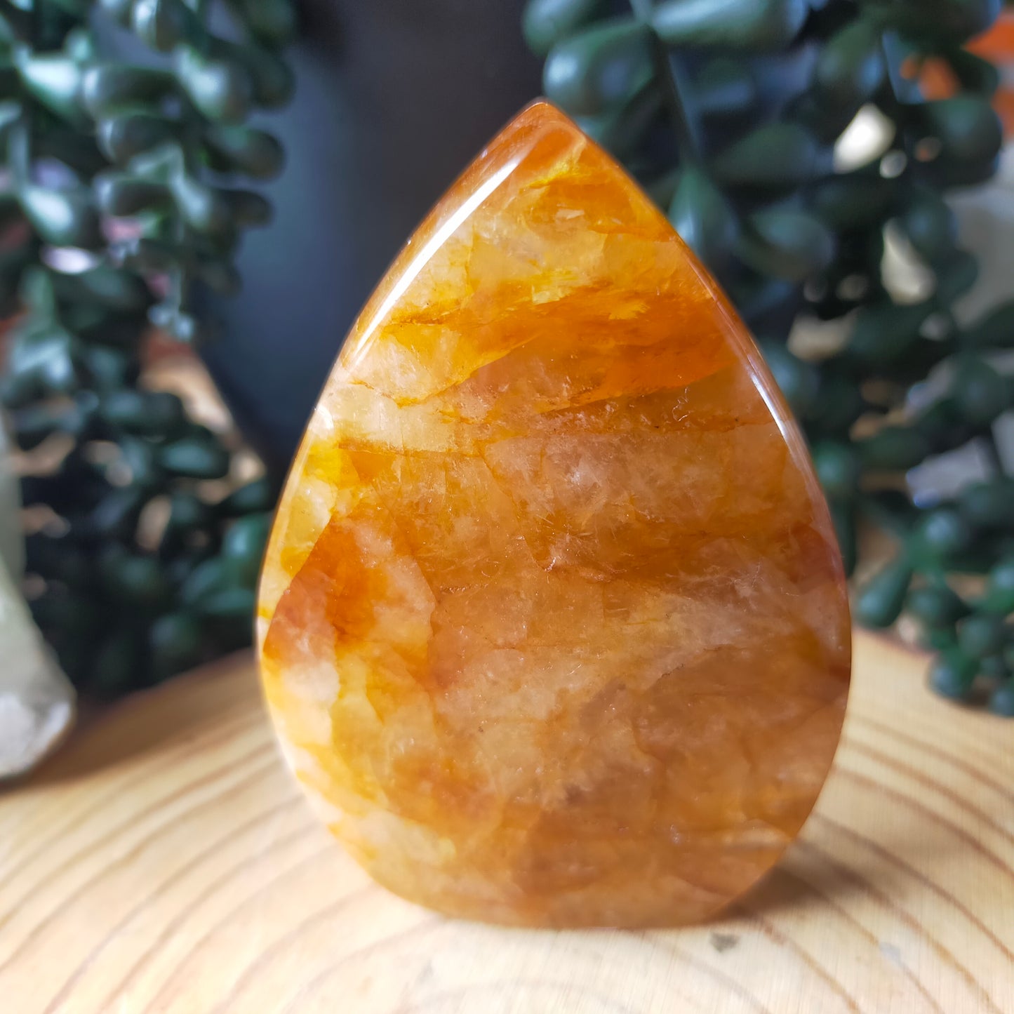 Golden Healer Freeform