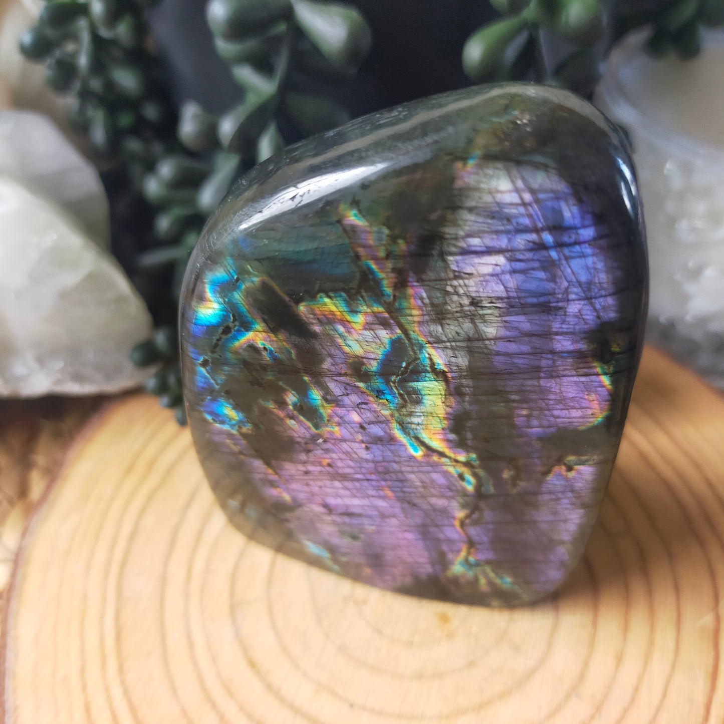 Purple Labradorite Freeform