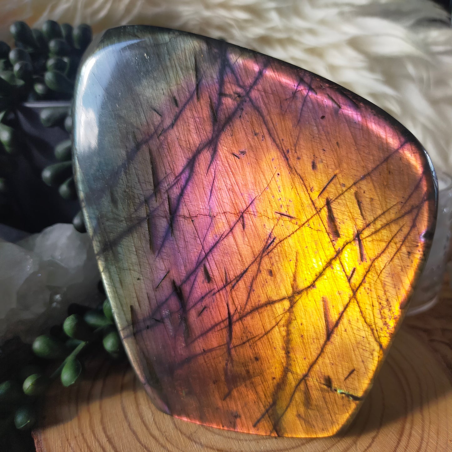 Rainbow Labradorite Freeform