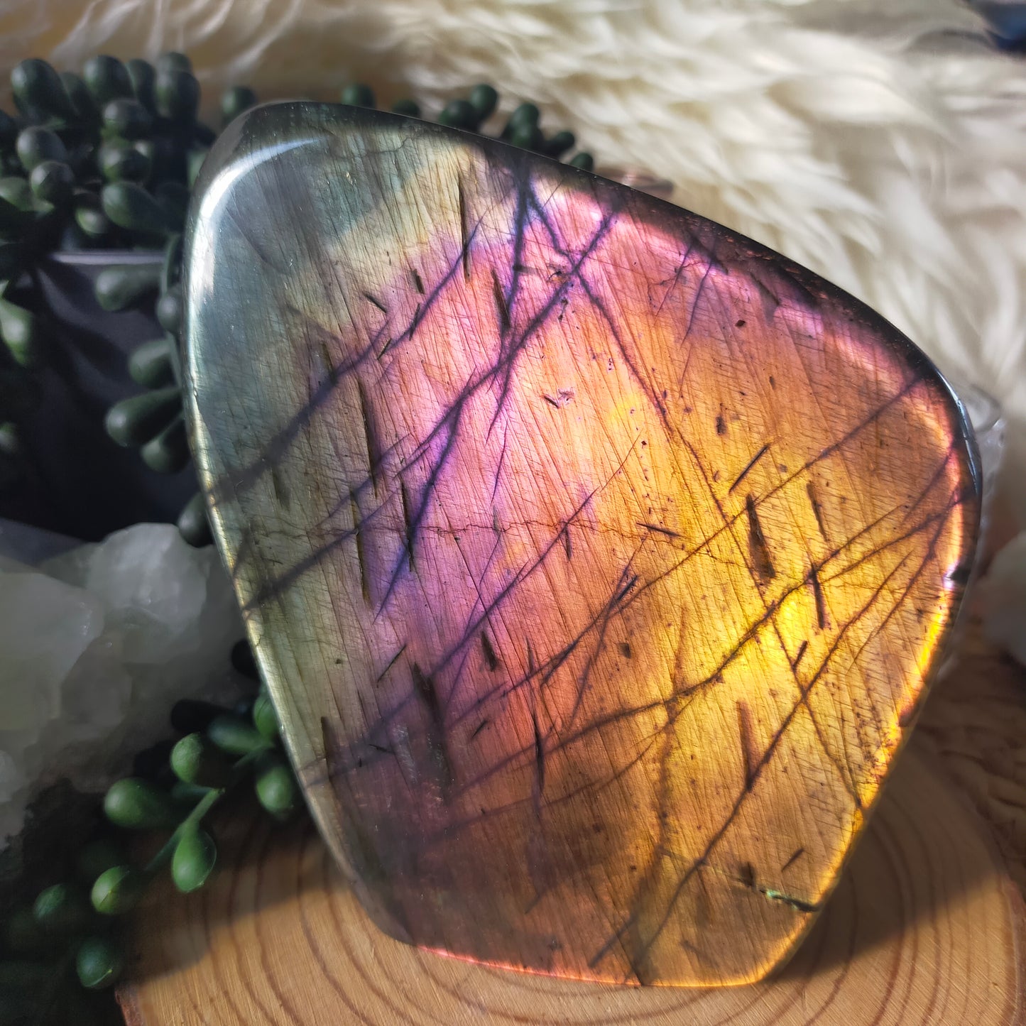 Rainbow Labradorite Freeform