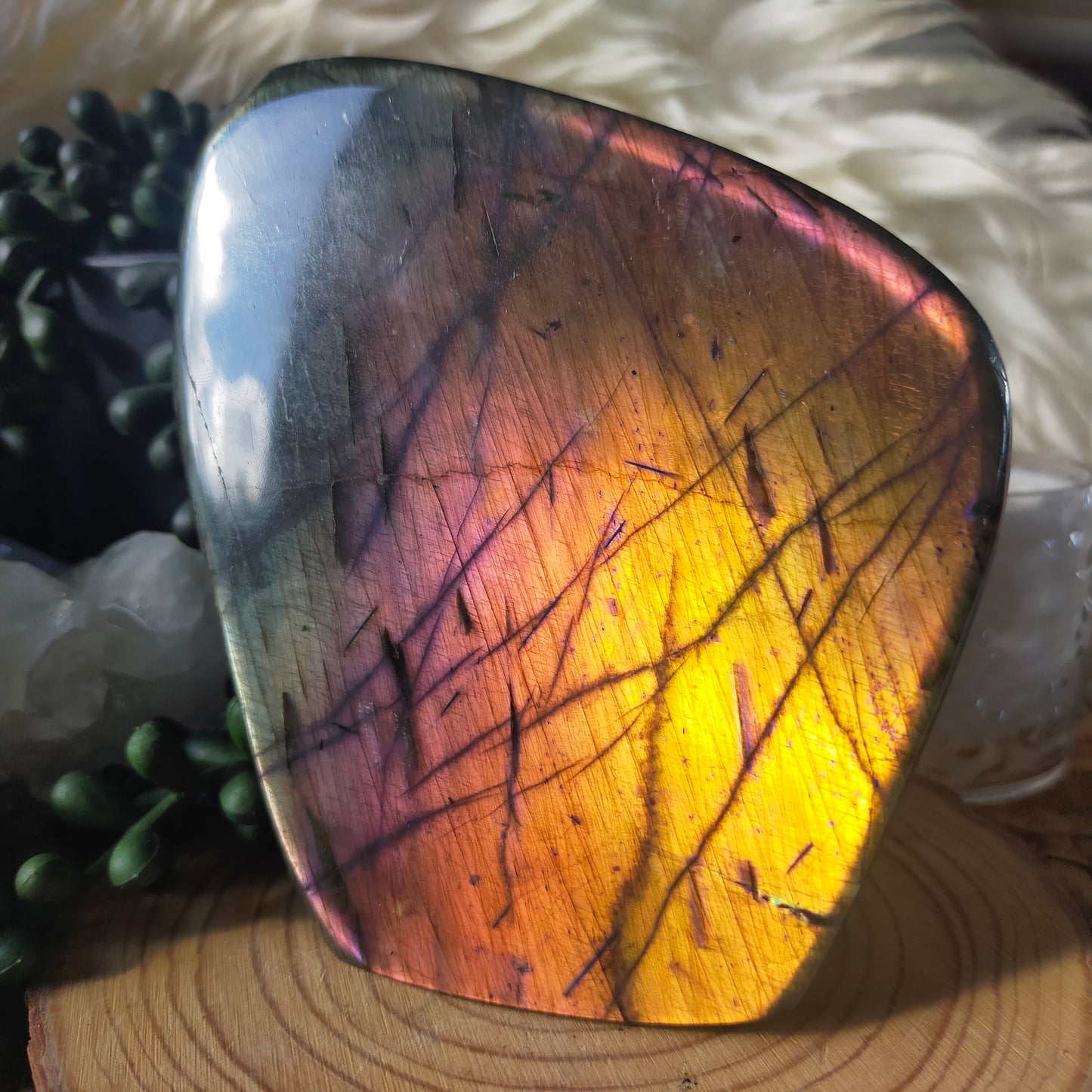 Rainbow Labradorite Freeform