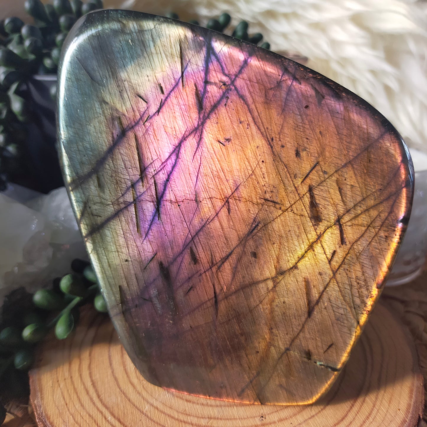 Rainbow Labradorite Freeform