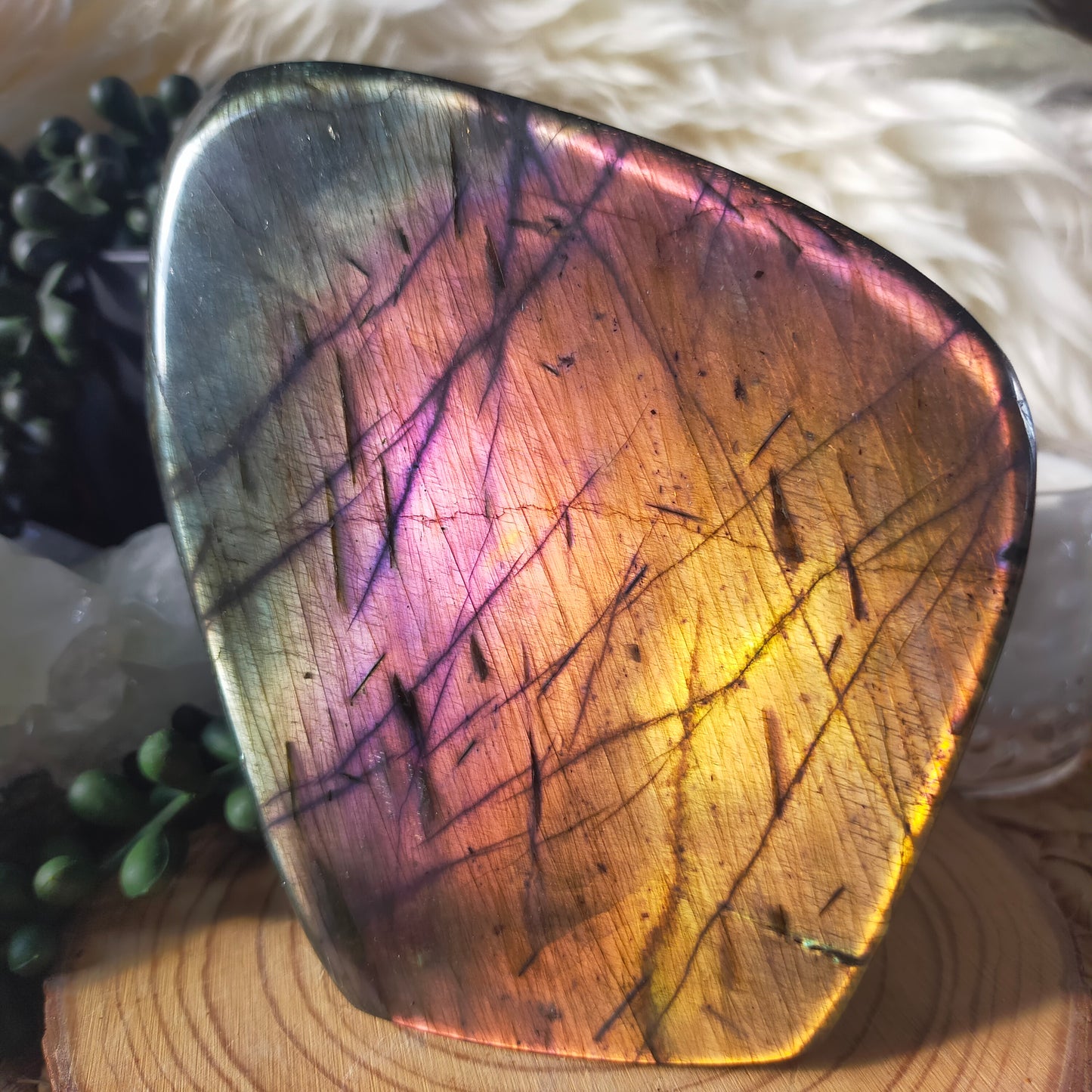 Rainbow Labradorite Freeform