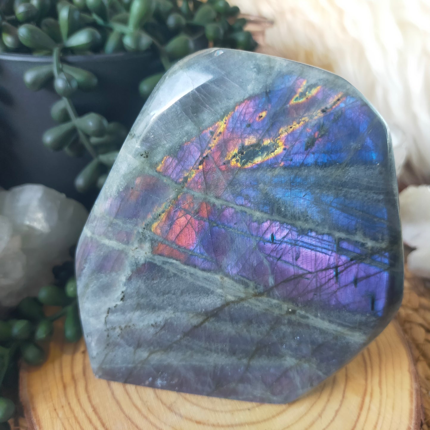 Labradorite Freeform