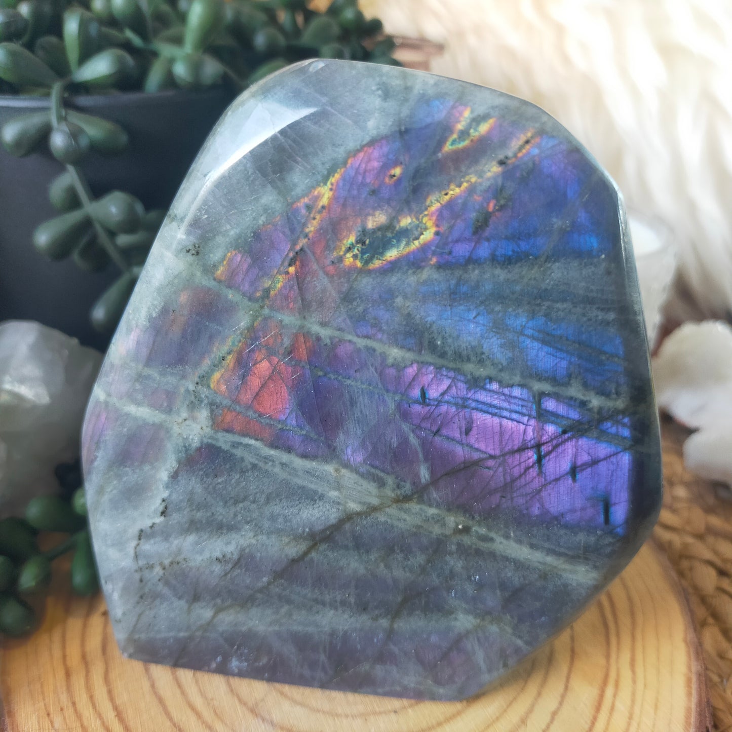 Labradorite Freeform