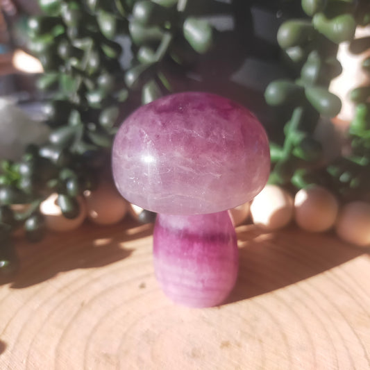 Fluorite Mushroom