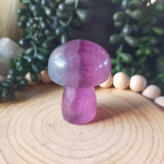 Fluorite Mushroom