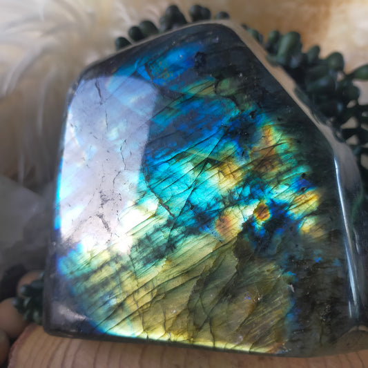 Labradorite Freeform