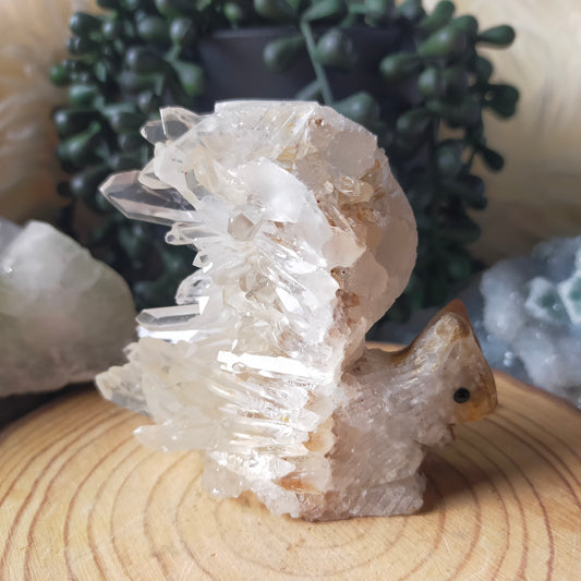 Clear Quartz Cluster Squirrel