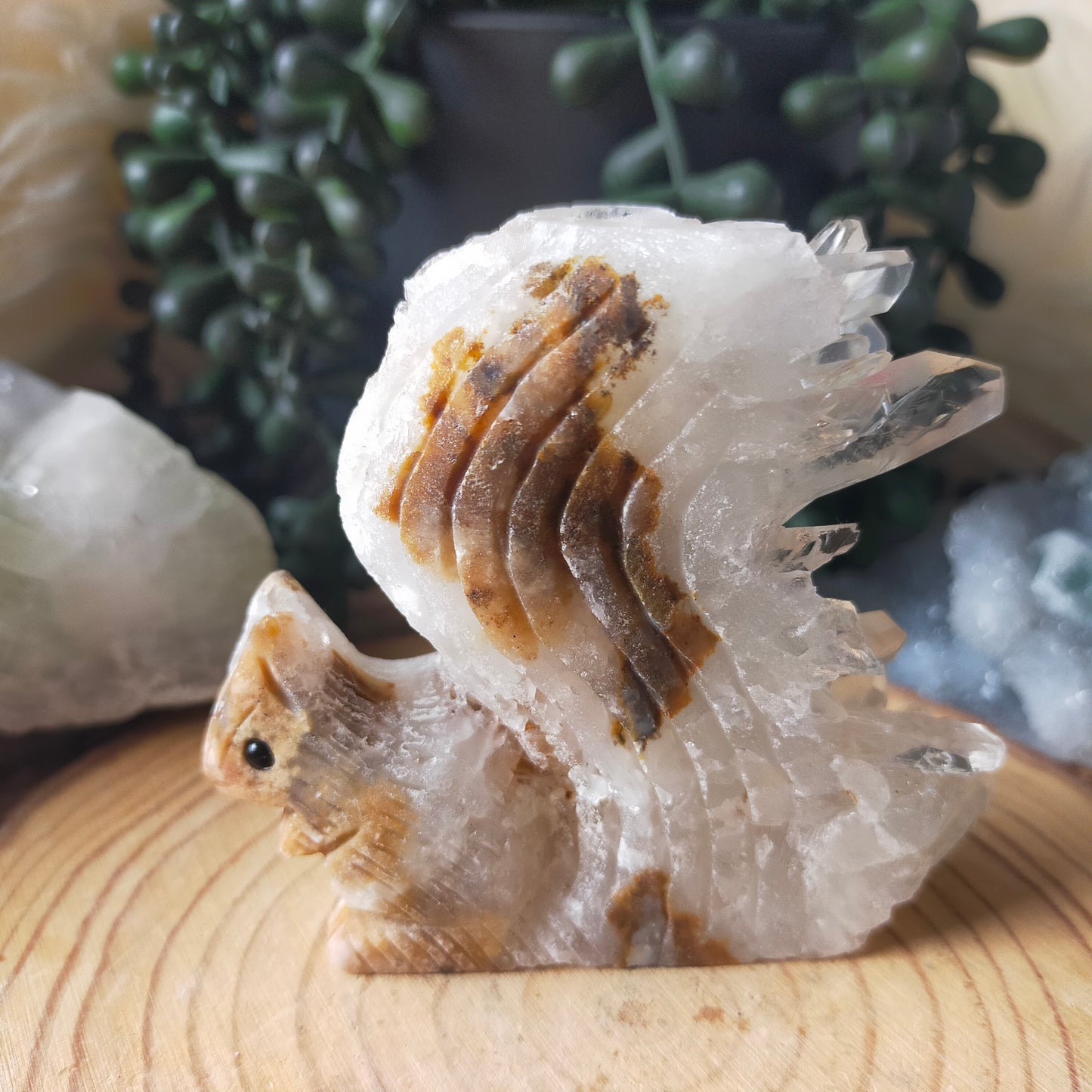 Clear Quartz Cluster Squirrel