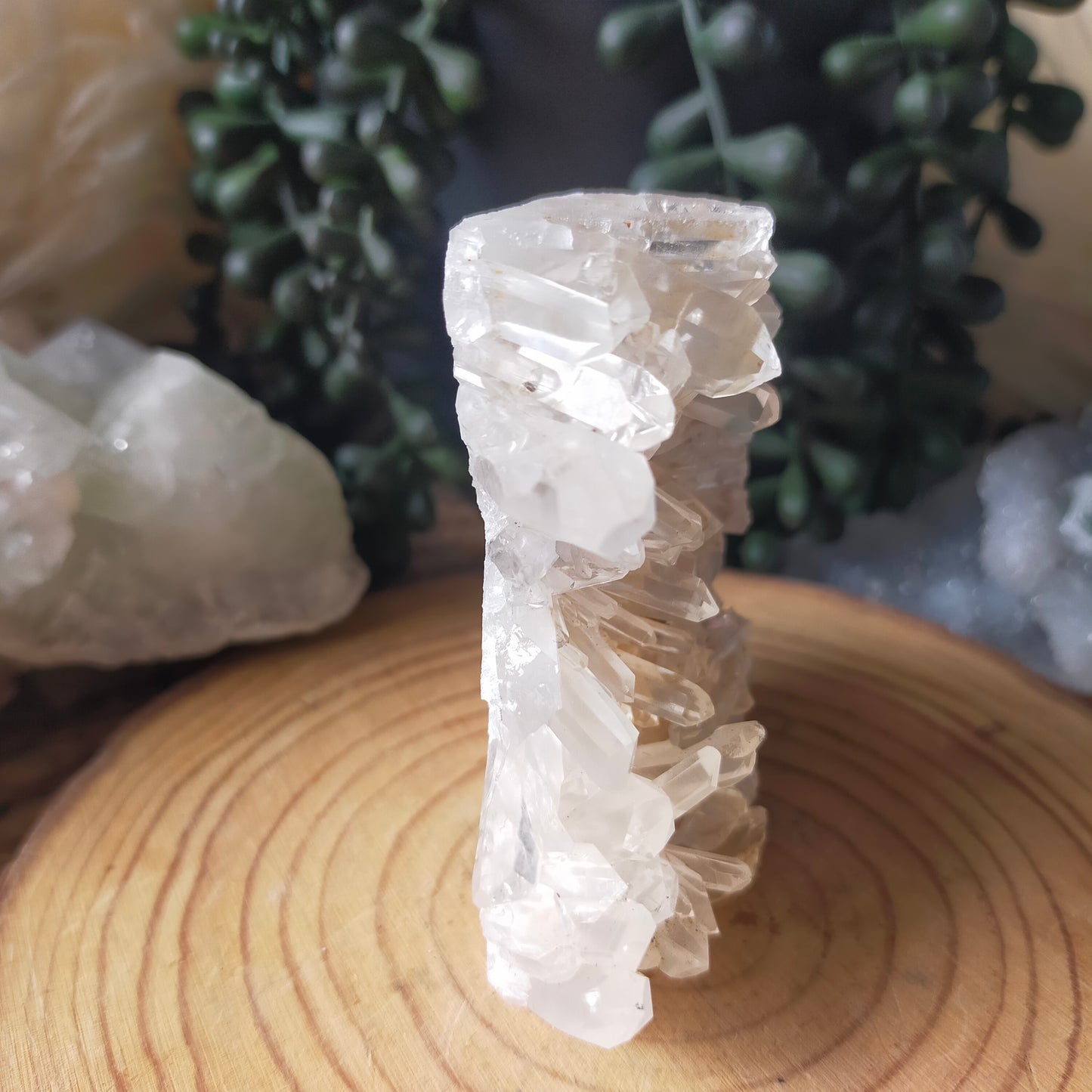 Clear Quartz Cluster Squirrel