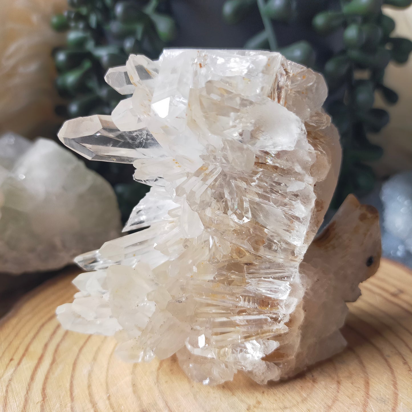 Clear Quartz Cluster Squirrel