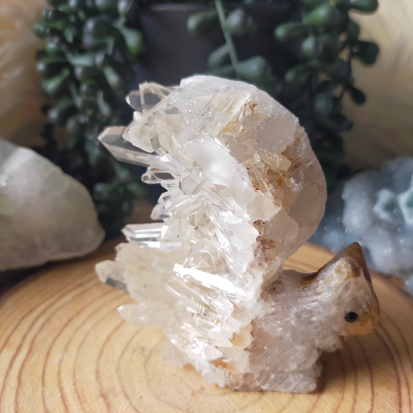 Clear Quartz Cluster Squirrel