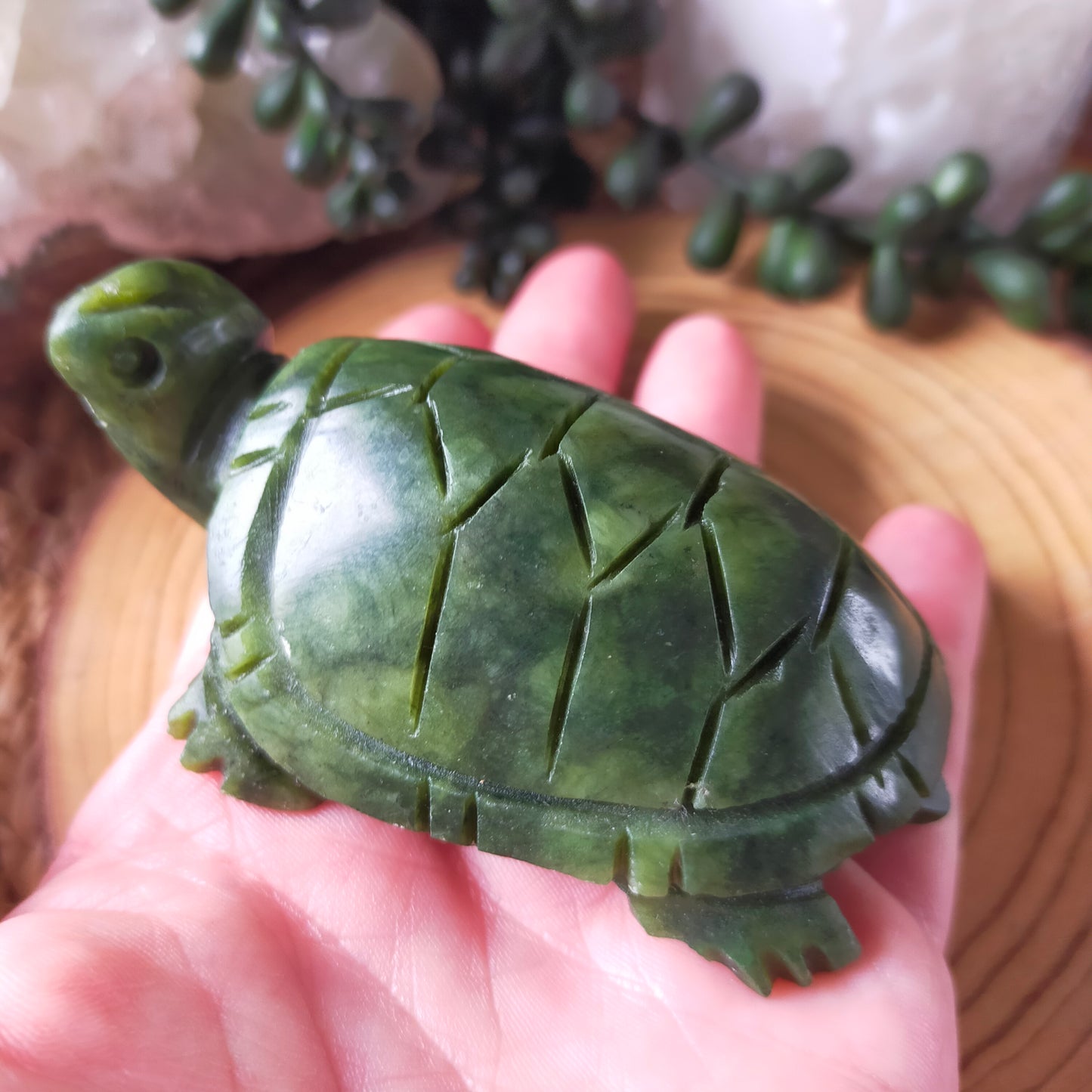 Jade Turtle