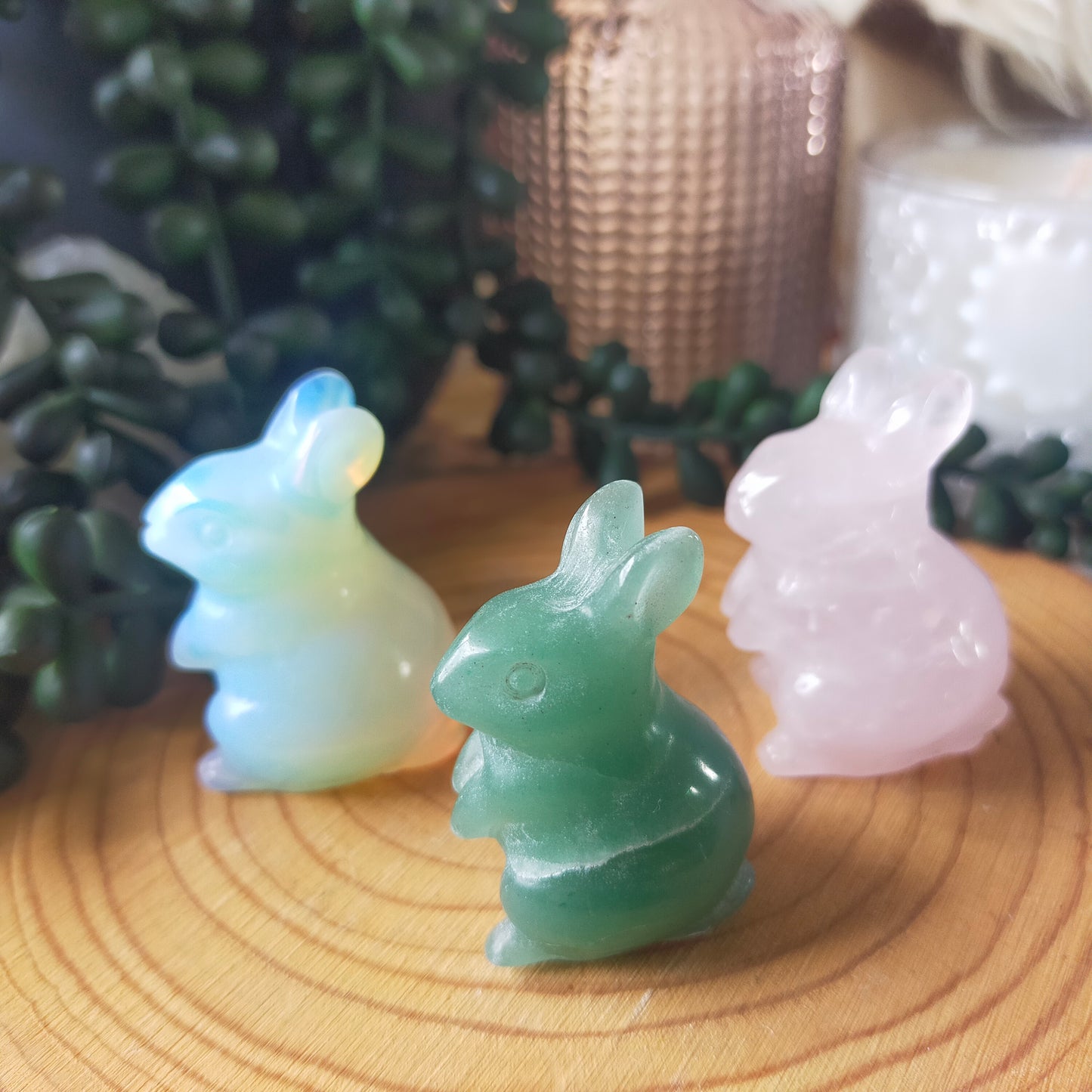 Rabbits