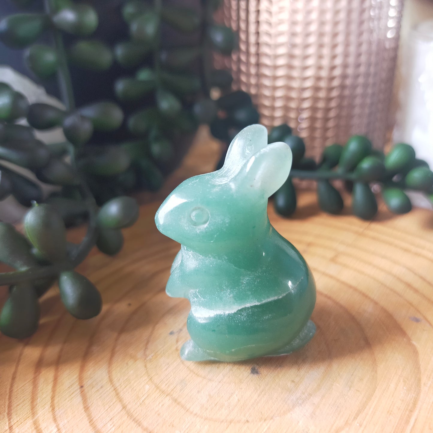Rabbits
