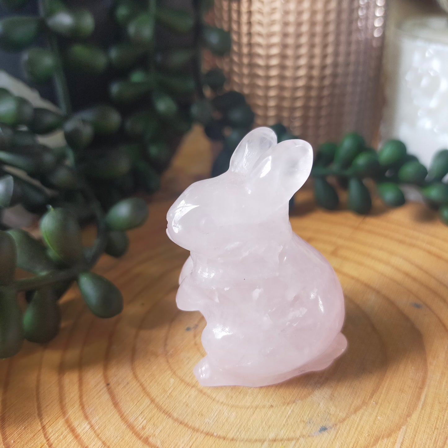 Rabbits