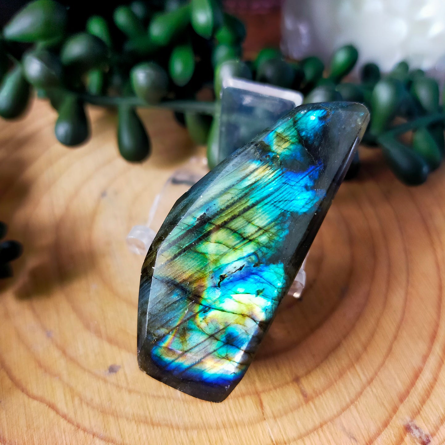 Small Labradorite Freeforms