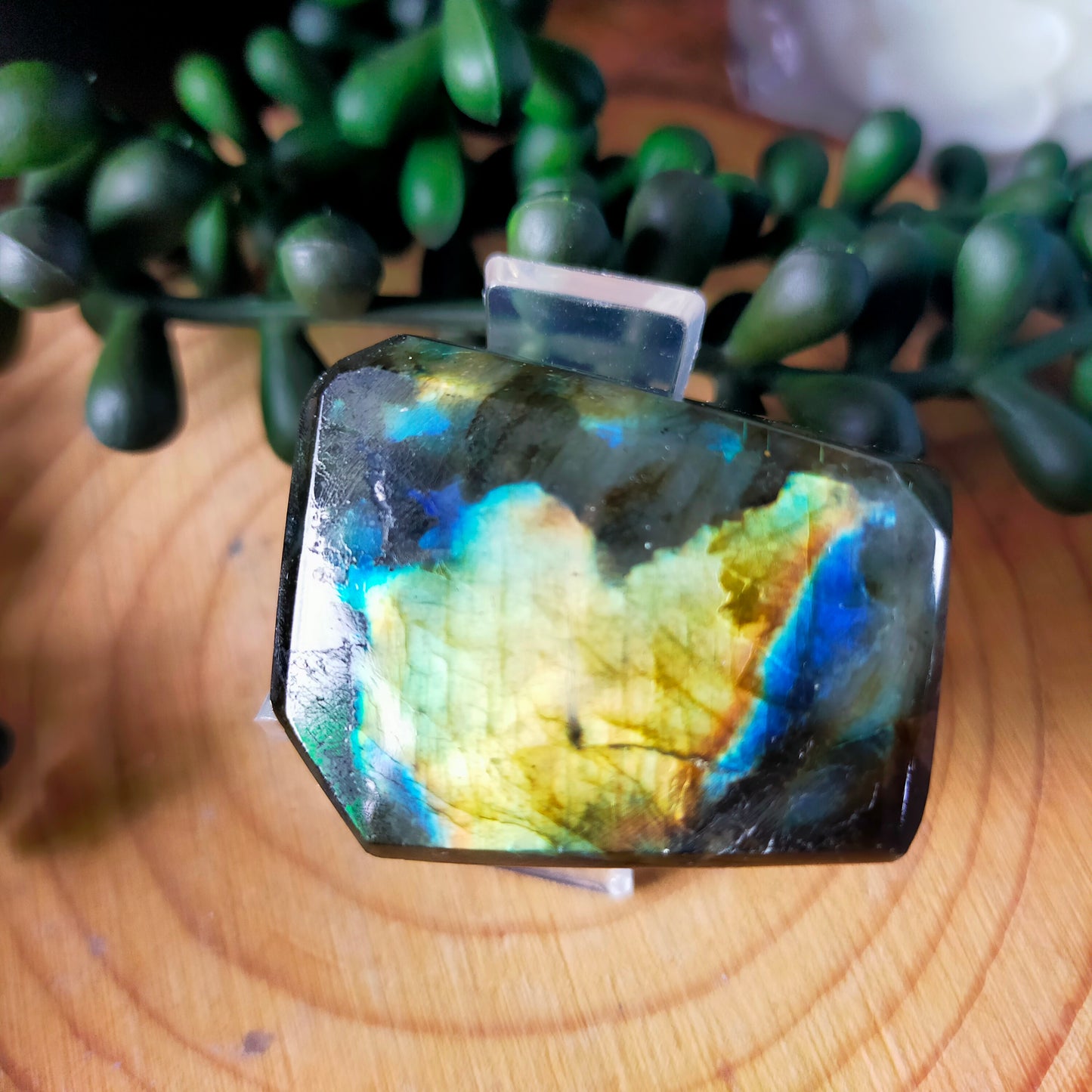 Small Labradorite Freeforms