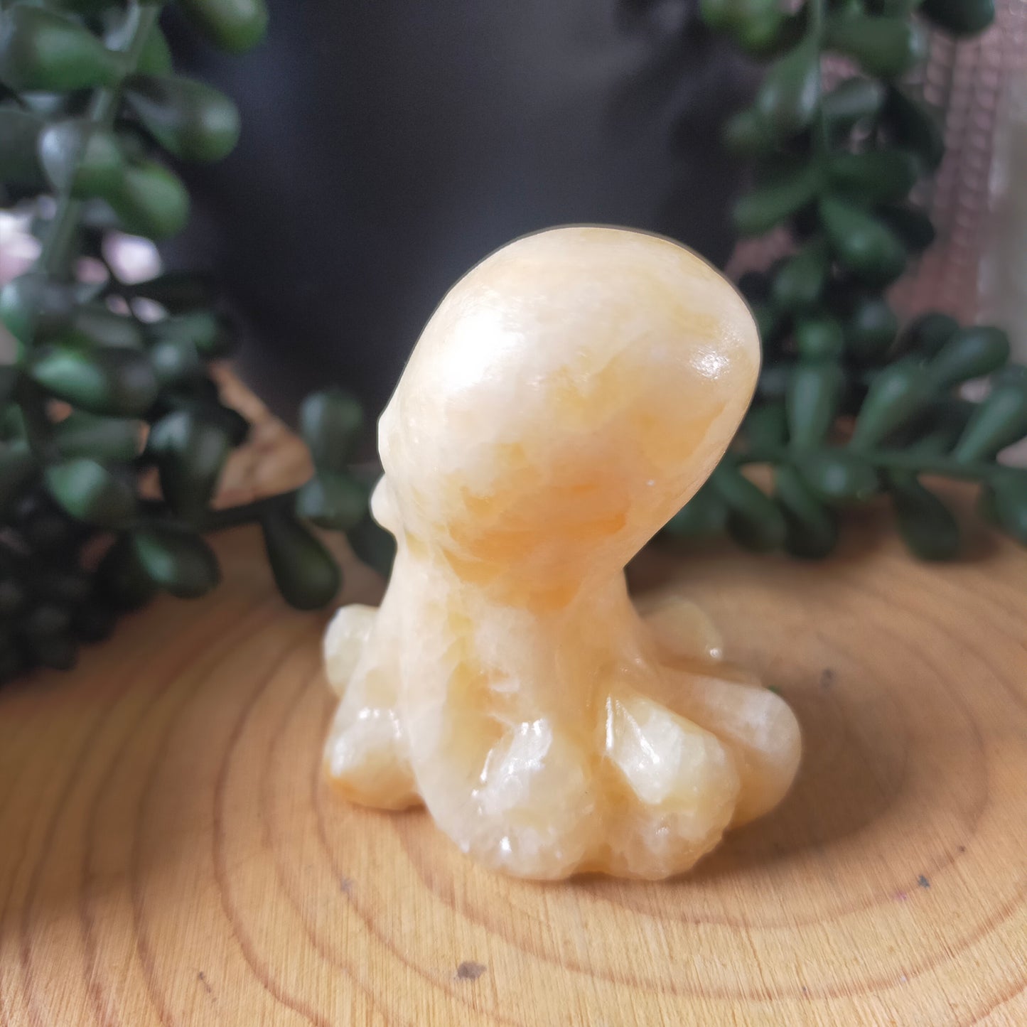 Yellow Calcite Octopus