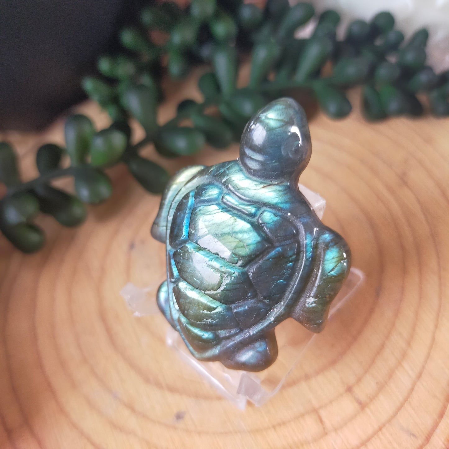 Labradorite Turtle