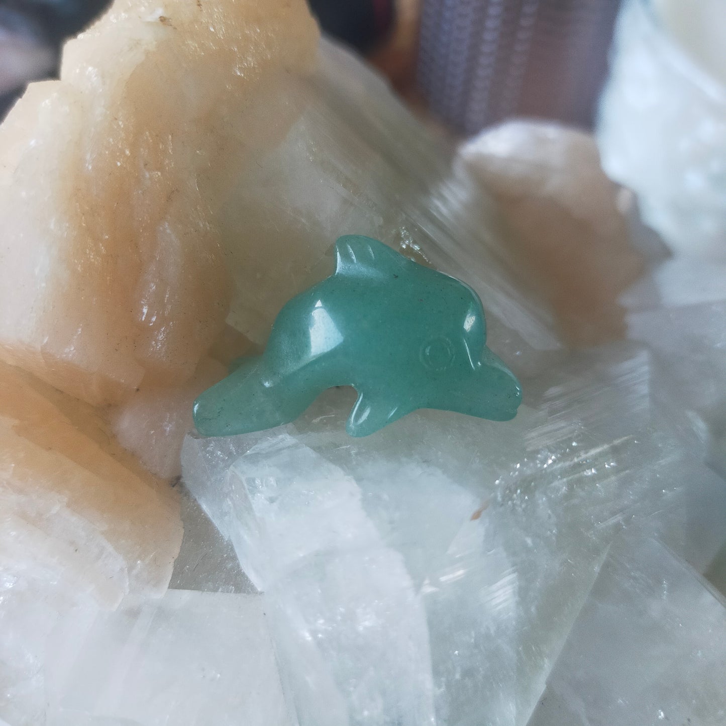 Mini Dolphin