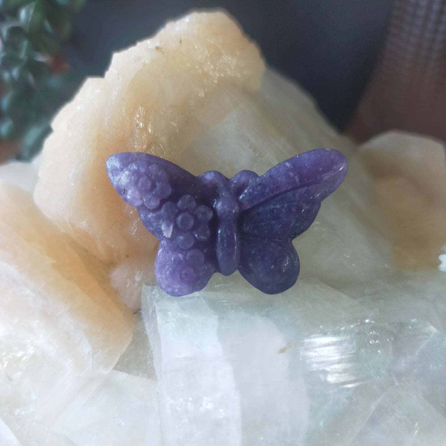 Small Butterfly