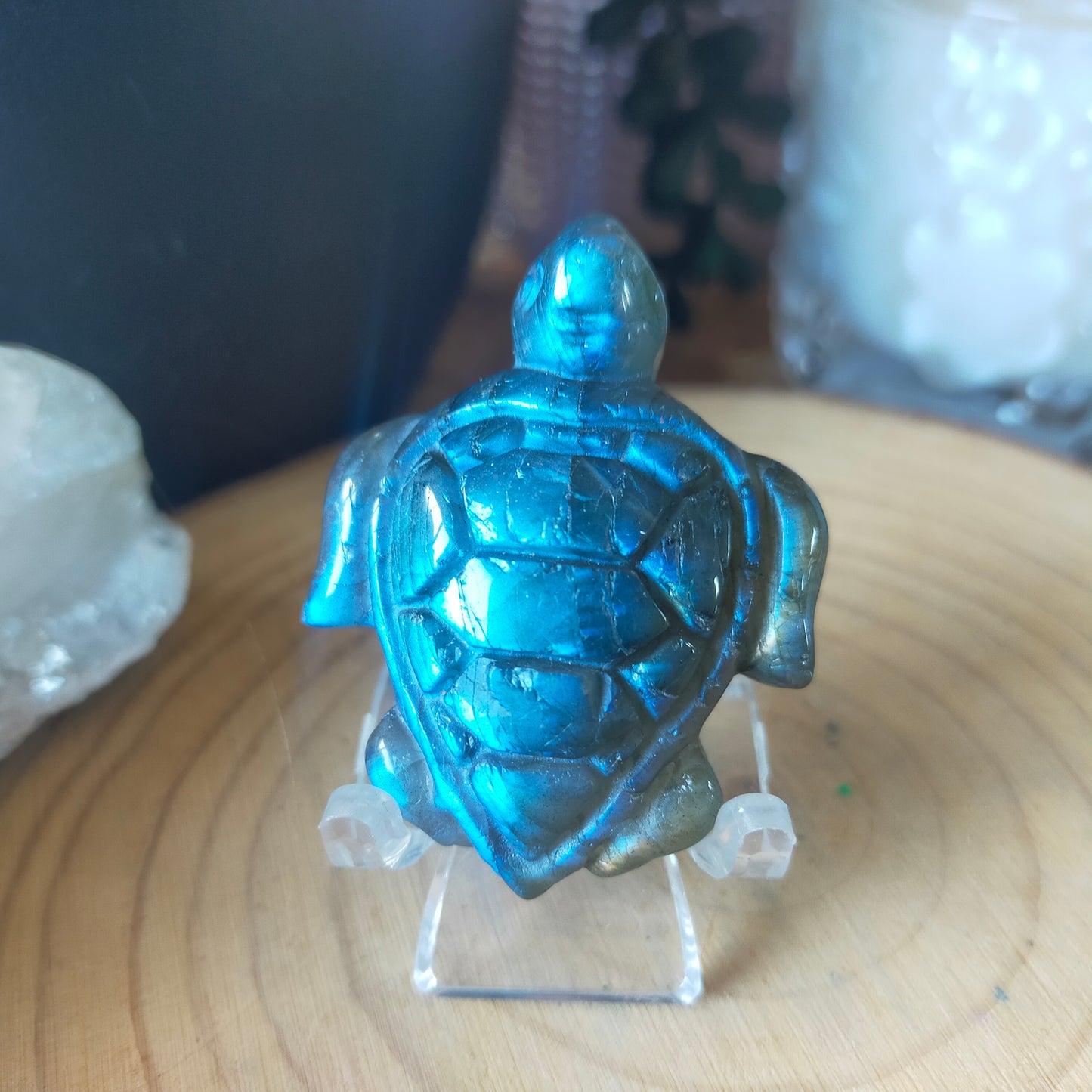 Labradorite Turtle