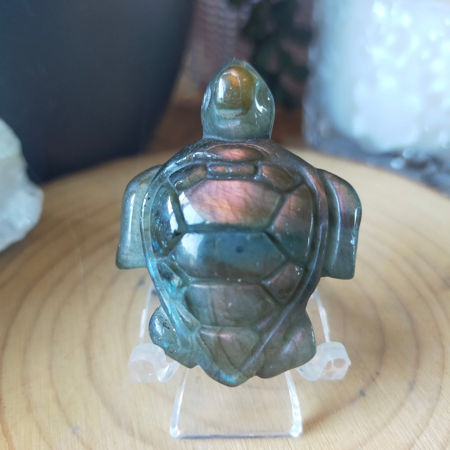 Labradorite Turtle