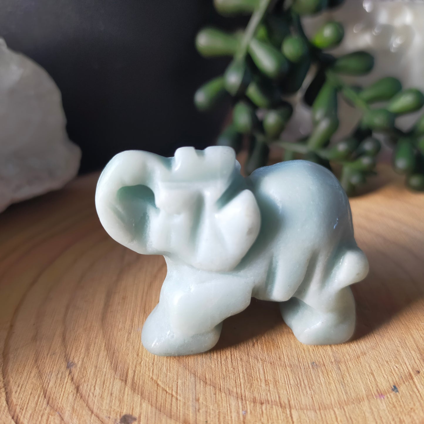 Small Elephant