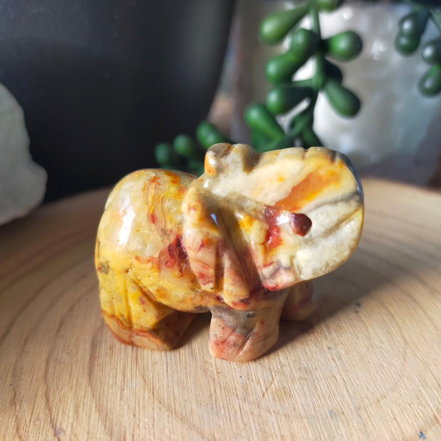 Small Elephant
