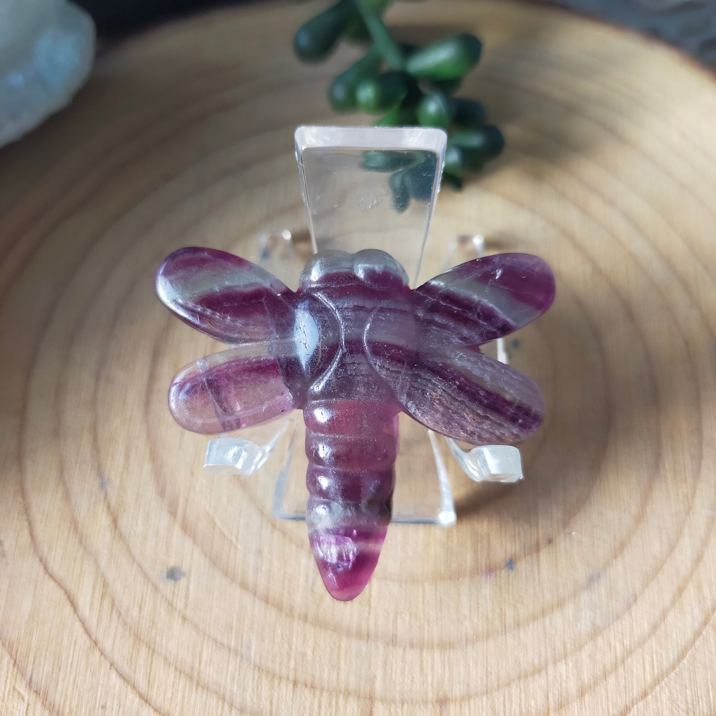 Fluorite Dragonfly