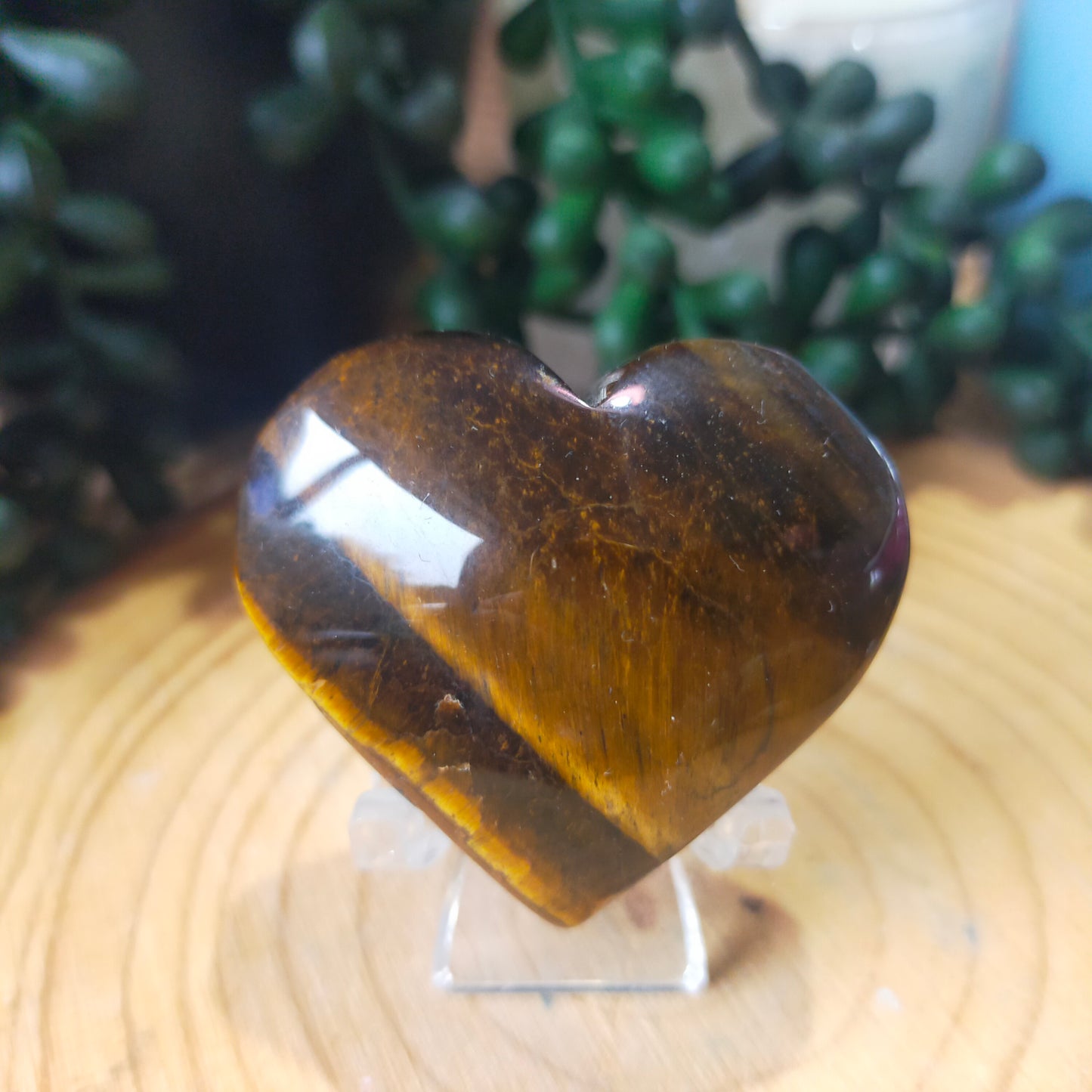 Tigers Eye Heart