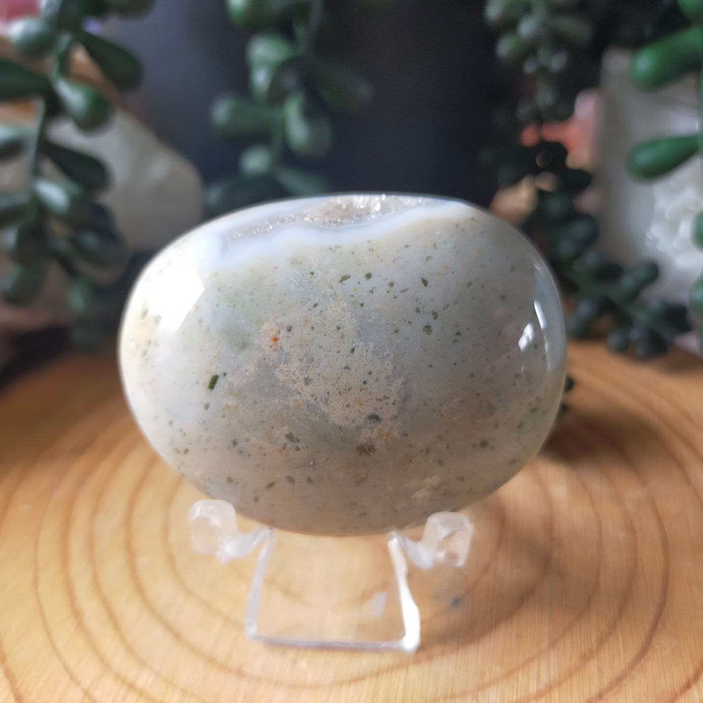 Ocean Jasper Palmstone