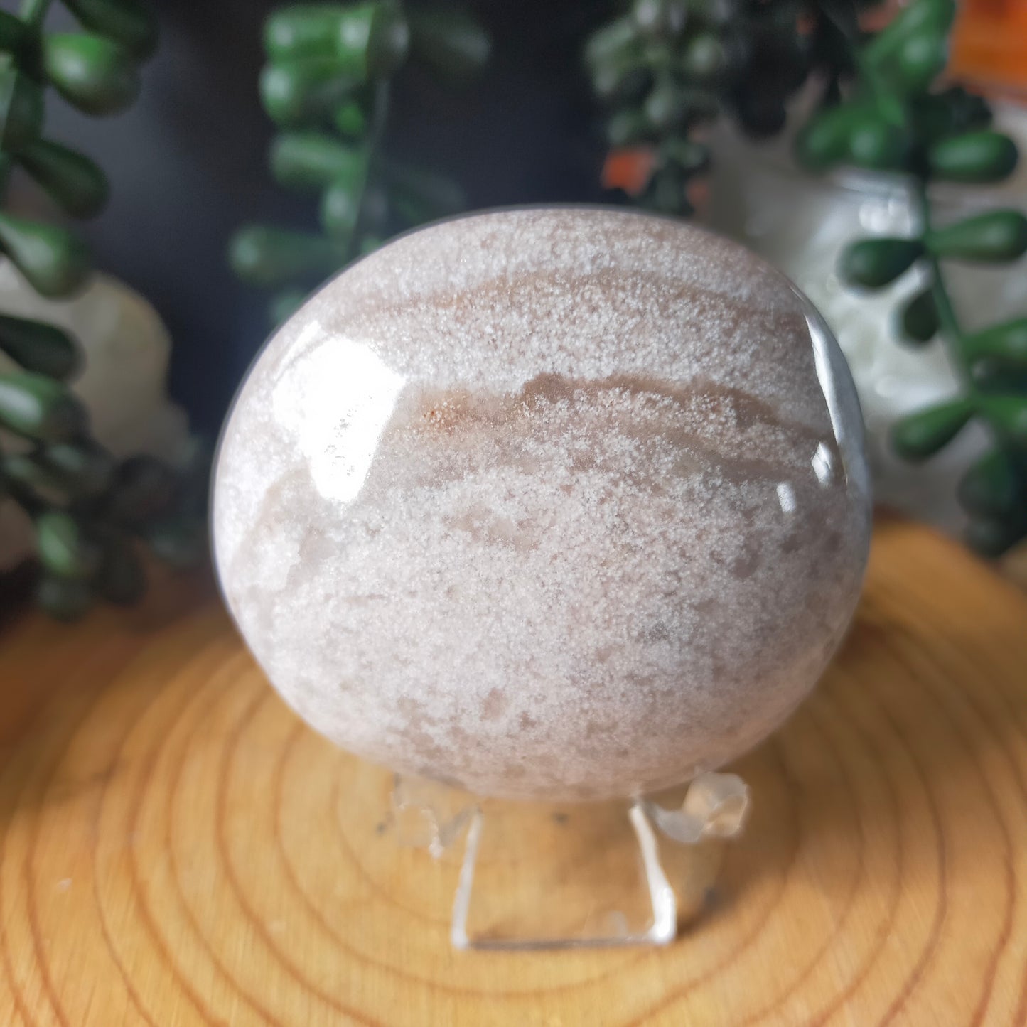 Ocean Jasper Palmstone