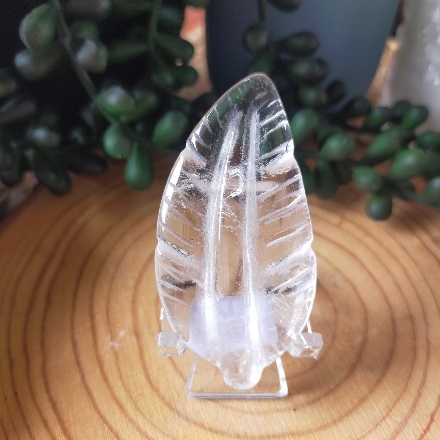 Feather Carvings
