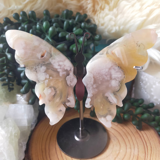 Flower Agate Butterfly Wings